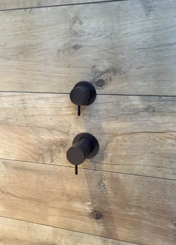 Waterevolution Flow -upotettava suihkutermostatti, 2 ulostuloa, mattamusta, pyöreä ruusuke 1208778072