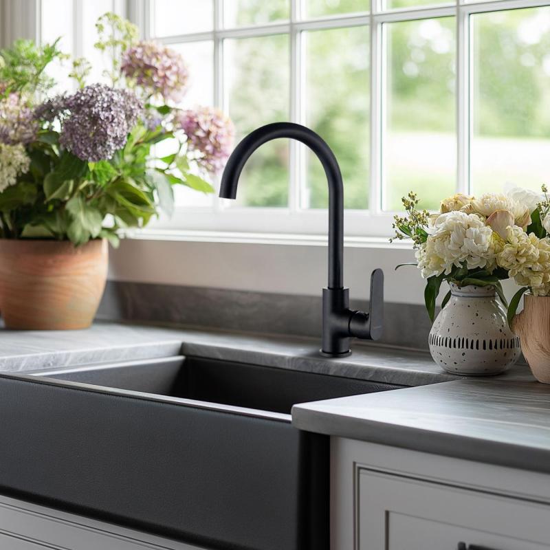 AquaTrimo Chopin single lever kitchen mixer matt black 21CP7374SW