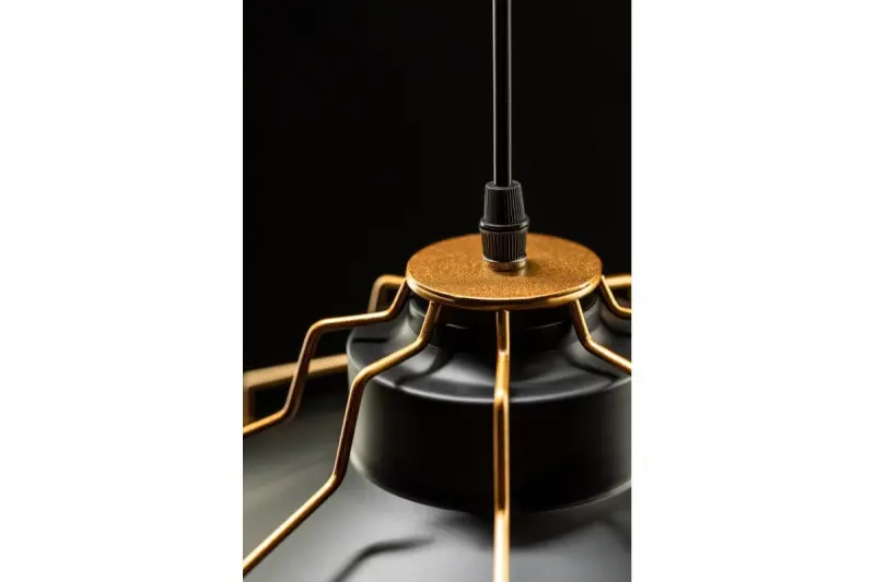 Decor Goa black pendant lamp with decorative gold frame 3512