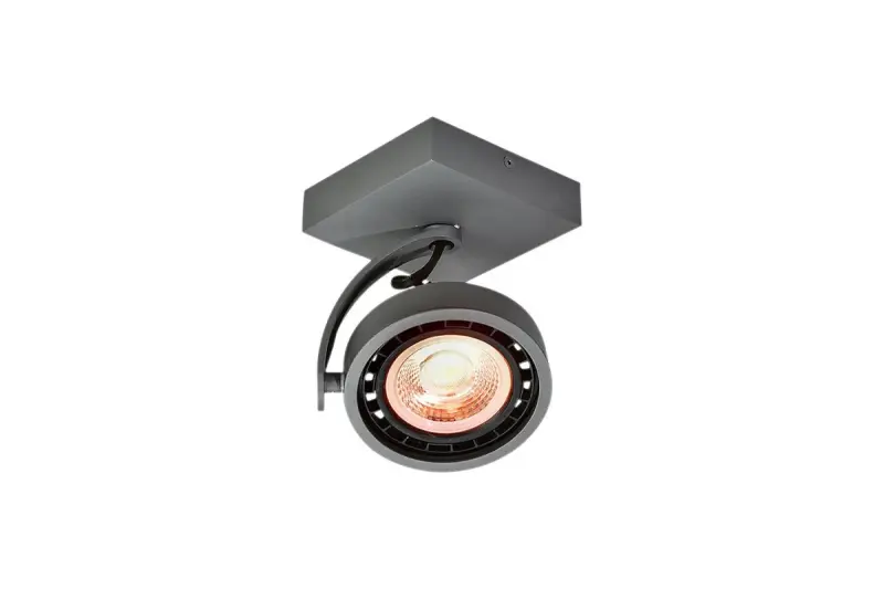 Decor Wally ceiling lamp or wall lamp with adjustable head, anthracite, 1 bulb 4281