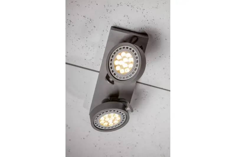 Decor Wally ceiling lamp or wall lamp with adjustable head, anthracite, 2 bulbs 4304