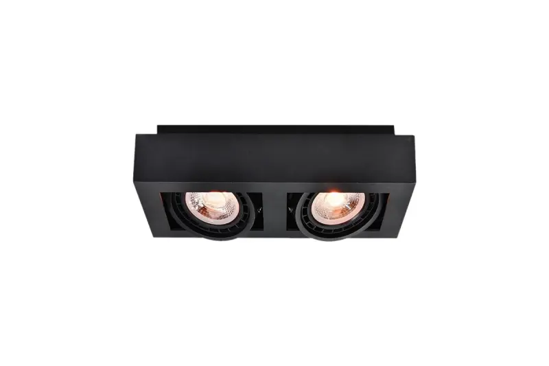 Decor Loid functional rectangular black ceiling lamp with 2 bulbs 4700