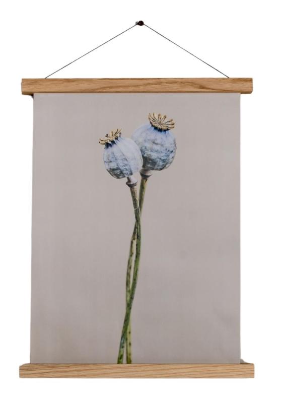 Woodsea Frame S - Tammi magneettikehys S (A4) 1208971603